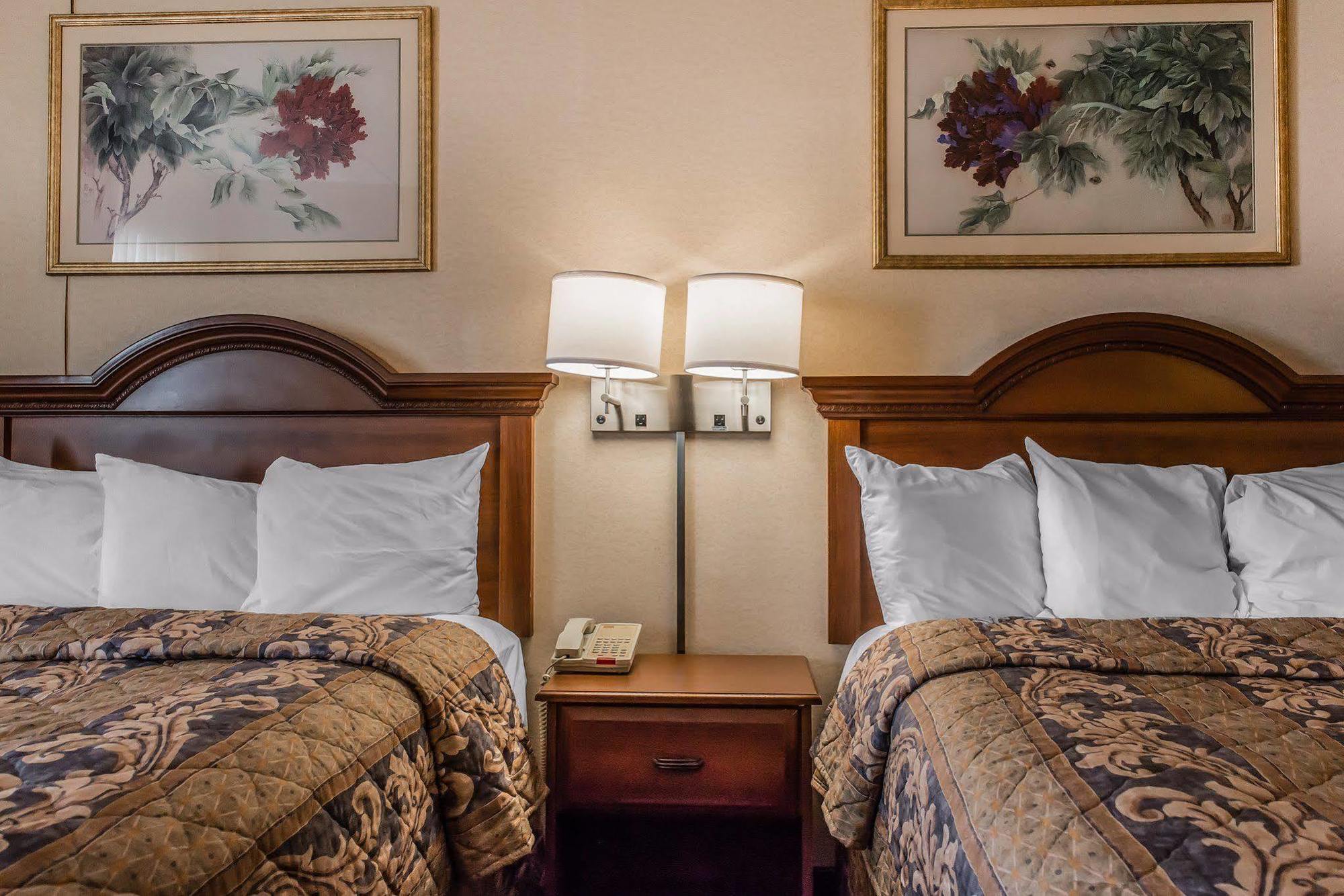 Hotel &